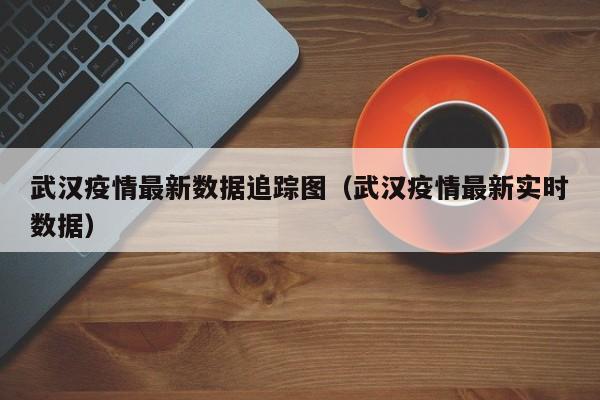 武汉疫情最新数据追踪图（武汉疫情最新实时数据）
