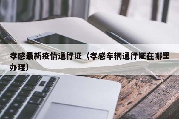 孝感最新疫情通行证（孝感车辆通行证在哪里办理）