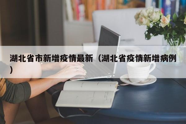湖北省市新增疫情最新（湖北省疫情新增病例）